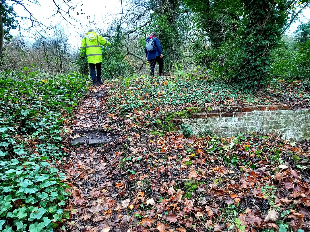 Pathway before clearing