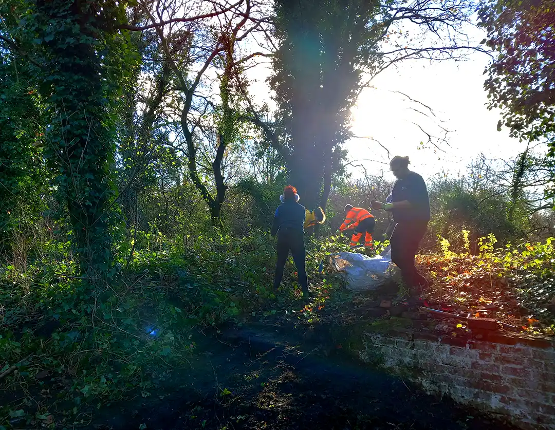 Volunteers Clearing tthe site