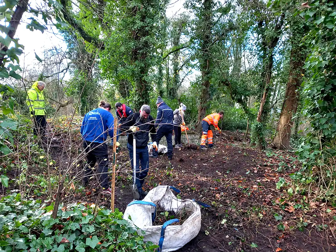 Volunteers Working on Site