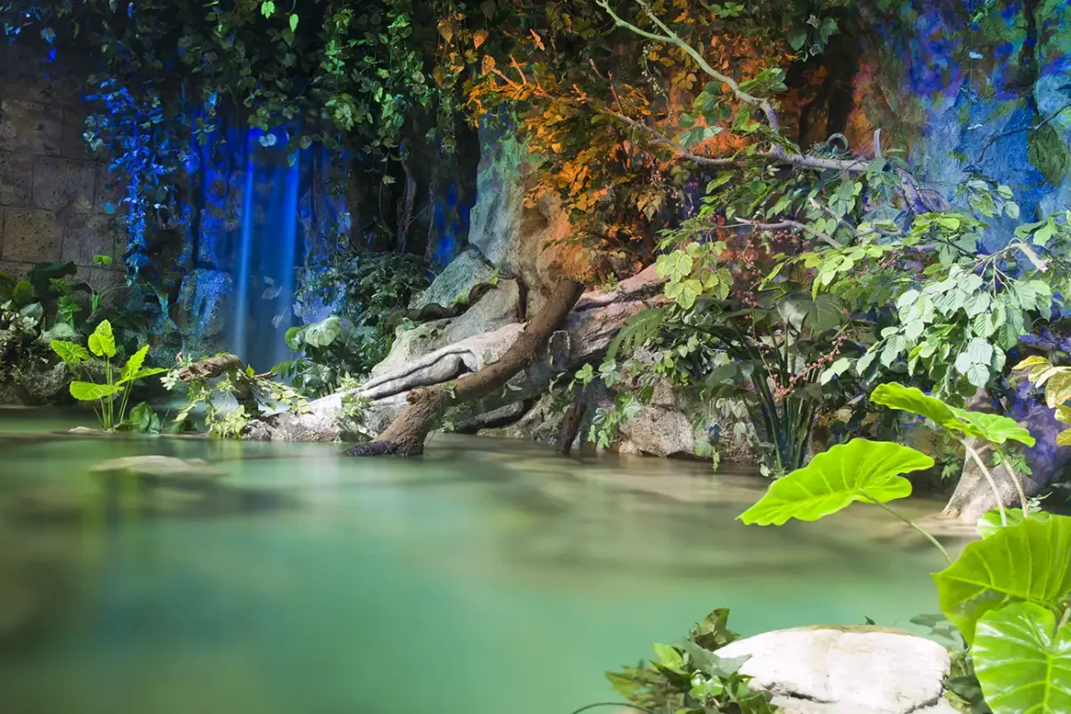 camera-ready water feature built for a film set A lit waterfall and still green pool created as a camera-ready water feature for a film or TV production